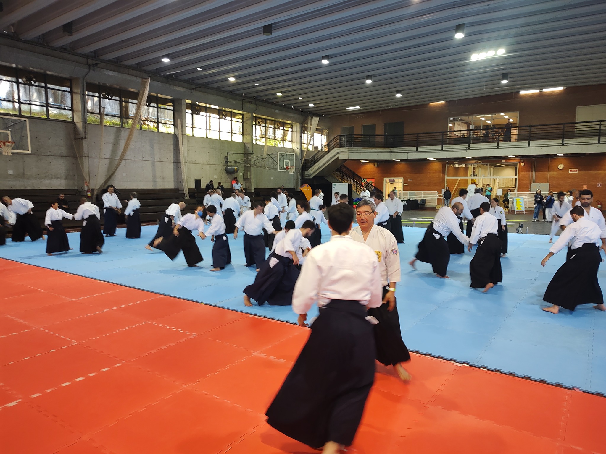 Convenção Nacional de Aikido